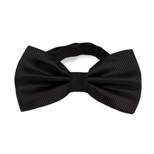 Noeud papillon élégant - , à