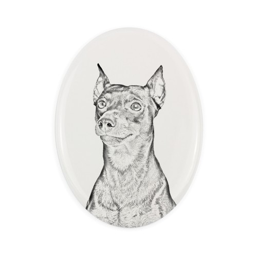 Pinscher allemand une pierre