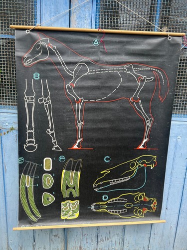 Affiche ancienne scolaire - ancienne, &