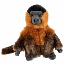 Heunec Animaux menacés Singe capucin, doudou, peluche, animal en tissu, 24 cm