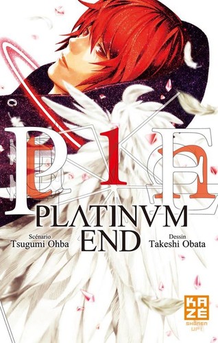 Integrale platinum end - integrale,
