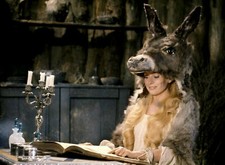 PHOTO PEAU D'ANE - CATHERINE