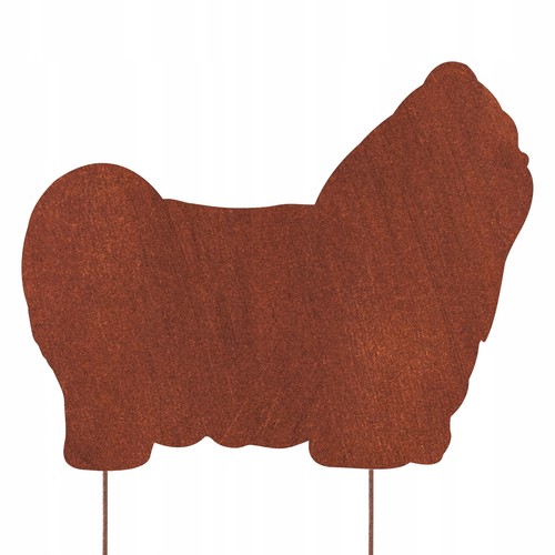 Shih tzu chien - tzu, corten
