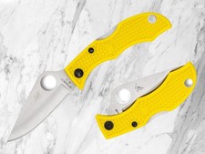 Spyderco ladybug salt - 3,