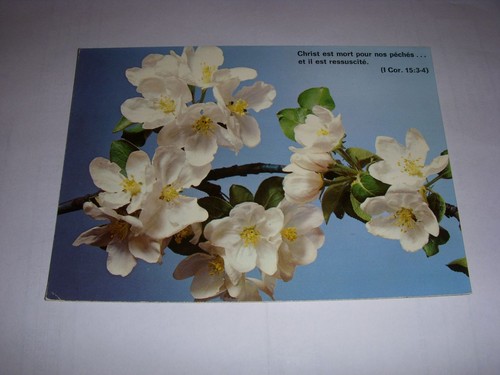 Religious postcard flowers - cp,