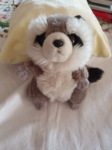 Doudou peluche raton laveur - peluche,
