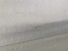 Plage arriere RENAULT SCENIC 3 PHASE 1 794200012R