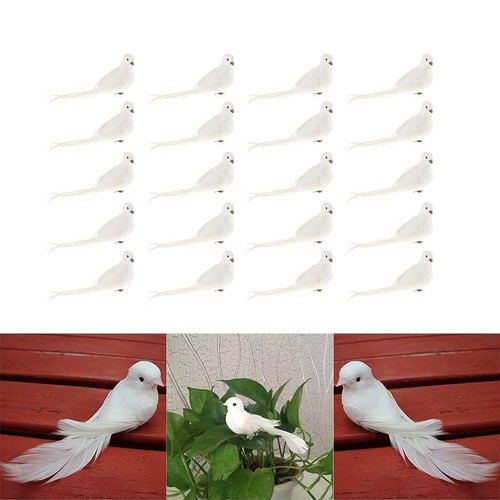 20pcs mousse plumes - 20pcs,
