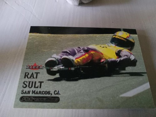Rat sult 2000 - rat, fleer