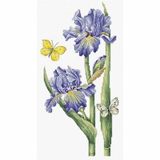 Kit point compté iris de - ,