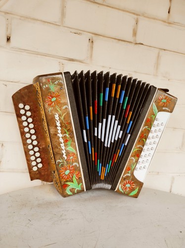 Accordion for teenagers - accordion,