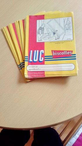 Lot protege cahiers - lot,