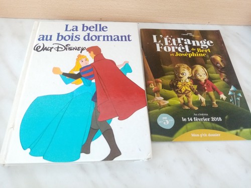Belle bois dormant - dormant,