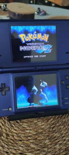 Console nintendo dsi - 🎮,