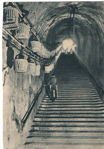 Carte postale champagne - carte,