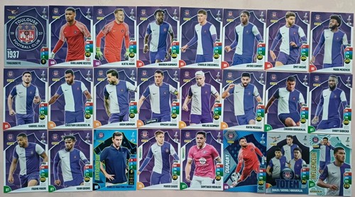 Panini adrenalyn ligue1 - panini,