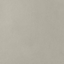 Morceau de cuir de veau lisse