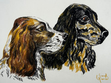 Chien setter pastel dessin - chien,