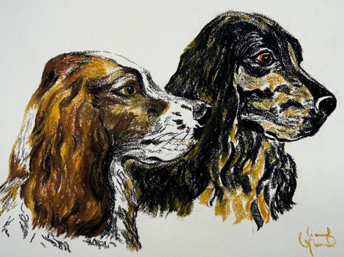 Chien setter pastel - pastel, dessin