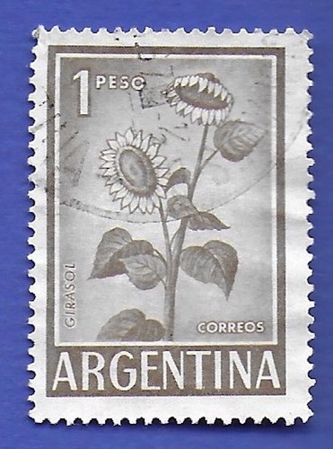 Timbre argentine 1959 fleur - ,