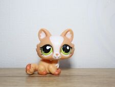 littlest petshop cat sphynx