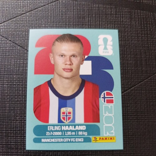 Panini fifa world - world, usa