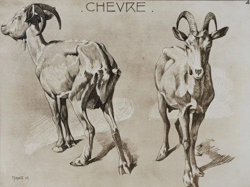 Mathurin meheut la chèvre - :,