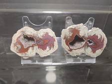 CRIS 30 N OLD STOCK PAIRE DE