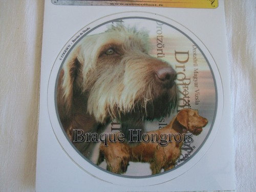Autocollant motif chien - autocollant,