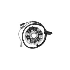 Stator Ducati Energia 6 Poli