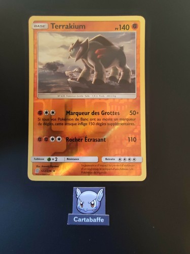 Carte pokémon terrakium - pokémon,