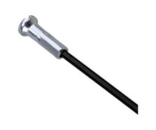 CAMPAGNOLO Lot de 4 rayons de