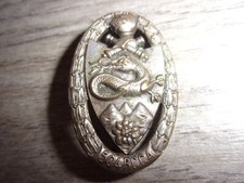 Insigne 504° Régiment de Chars de Combat Alpin - RCCA - Salamandre - Edelweiss