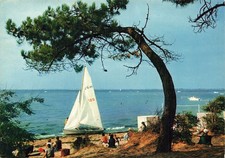 17  RONCE LES BAINS LA PLAGE DE LA CEPE