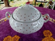 Soupière Porcelaine Bavaria Seltmann Weiden  Modèle Rose Décor Floral Coloré
