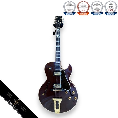 Guitare électrique acoustique