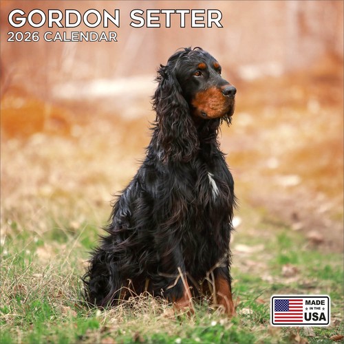 Gordon setter calendar - gordon,