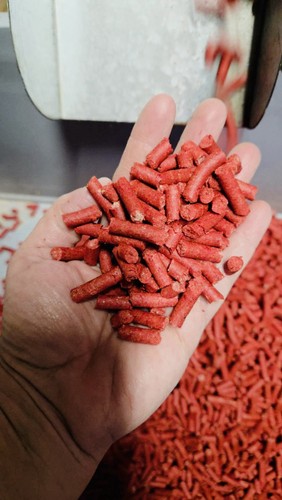 10kg pellets asticots - 10kg, d’asticots