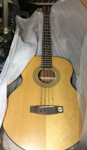 Guitare basse acoustique - acoustique,