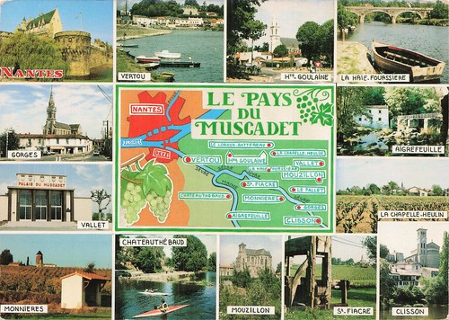 Pays du muscadet - le,