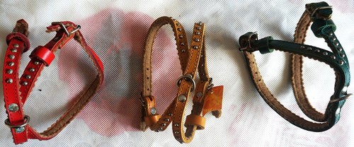 Harnais taille cuir pour - harnais, en