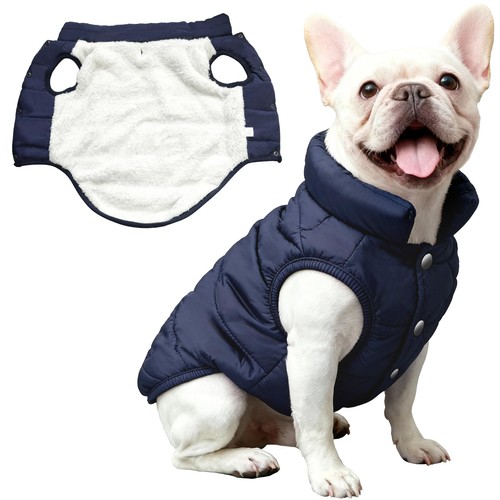 Manteau chien hiver - manteau,