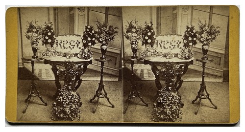 Nature morte fleurs intérieur - morte,