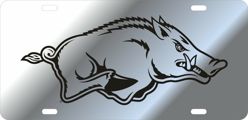 University arkansas - of,