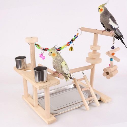 Aire jeux pour perroquets - pour,