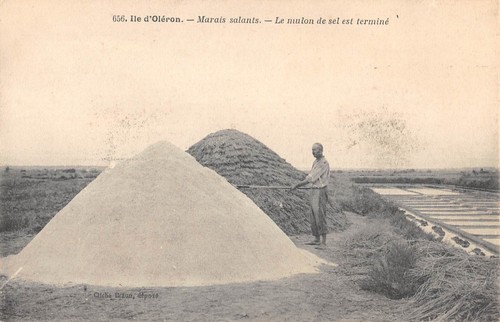 Cpa ile oleron marais - d'oleron, /