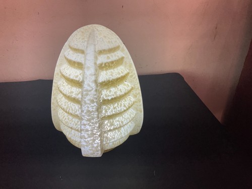 Gros globe obus - obus, lustre