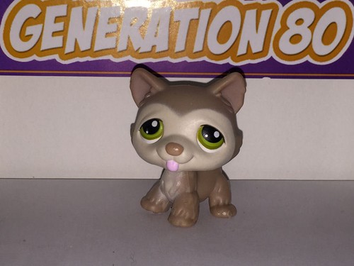 Littlest petshop husky marron - littlest,