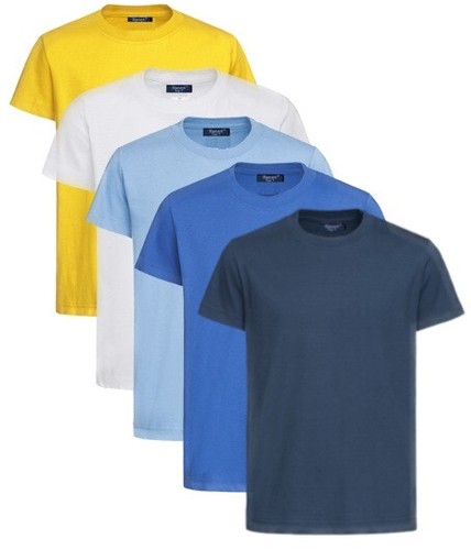 Shirt hanes coton pour - en,