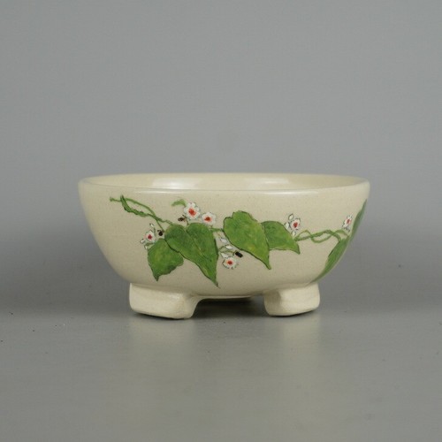 Pot bonsaï japonais - pot,
